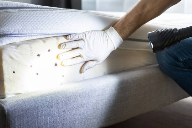 Best Best Pest Control Companies  in Chandler, IN
