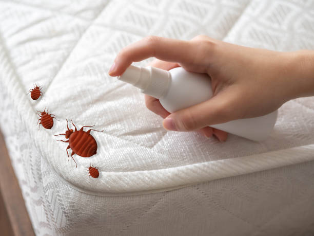 Best Pest Inspection Near Me  in Chandler, IN