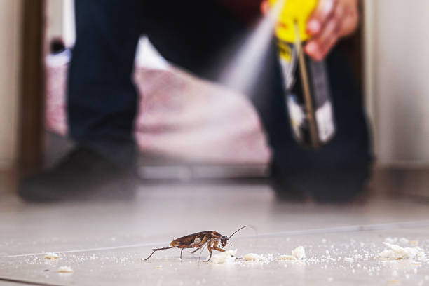 Best Insect Control  in Chandler, IN